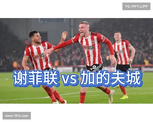 如何了解加的夫城足球队所参加的各类联赛及其表现